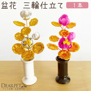 ybg ~ ڂ΂ 1{ Pi ~pi sN    ybg ybĝ~ V~ ~ ybgp  L  nX^[  nlY~ ~ ~j RpNg 