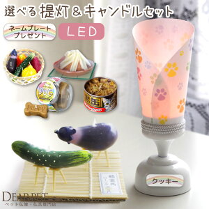 ybg ~ Iׂ v` & Lh Zbg  ~ ~Zbg LED Cg Y R[hX V~ ~ ~j   L  킢    n  hb