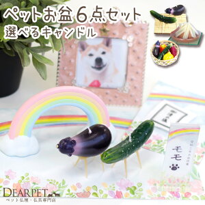 ybg ~ Iׂ Lh & ̋ ~6_Zbg  n  }Α RpNg ~j   L  nX^[ 킢  ~Zbg V~ ~ ybg