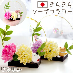 yzybg  炫 \[vt[  ˂  Y  Mtg 蕨  킢  TLb`[ NX^ ybg ybgd ybg{ 