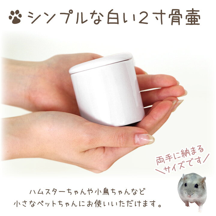 楽天市場 ペット骨壷 国産 パッキン付 2寸 やわらぎ 白 ホワイト 美濃焼 ペット骨壺 白 かわいい きれい おしゃれ 日本製 ペット供養 分骨 納骨 ハムスター 文鳥 インコ 犬 猫 ペットロス メモリアル ペット仏壇仏具のディアペット