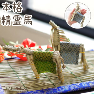 ybgp ~{ {i ܂ n ~ ~pi ybg~ } V~ ~  L  nX^[ u ybg a a_ {iI ^ AObY