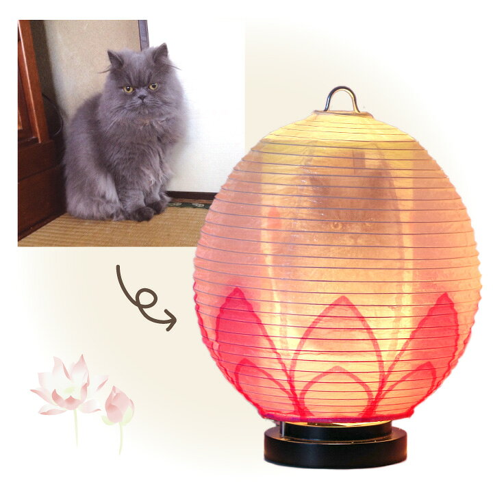 楽天市場 ペット盆提灯 写真入り ペット供養 ちょうちん 蓮の花ペット 自宅 電気 ライト ランタン 犬 猫 かわいい 小さい コード スイッチ ぼんぼり 電気 お供え物 お盆 盆提灯 提灯 ペット提灯 ペット盆 ペットお盆 ペット仏壇仏具のディアペット 楽天市場 ペット盆提灯 写真入り ペット供養 ちょうちん 蓮の花ペット 自宅 電気 ライト ランタン 犬 猫 かわいい 小さい コード スイッチ ぼんぼり 電気 お供え物 お盆 盆提灯 提灯 ペット提灯 ペット盆 ペットお盆 ペット仏壇仏具のディアペット