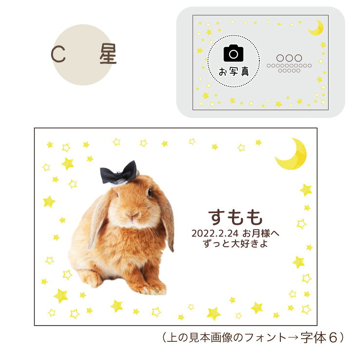 楽天市場 ペット位牌 キャトル クリスタル イラストtype 特製box付 ペット用 位牌 ペットメモリアル ペットロス ペット供養 犬 猫 うさぎ 小動物 ガラス かわいい きれい おしゃれ 四角 透明 カラー 写真入り 四十九日 墓 お位牌 名入れ ペット仏壇仏具のディアペット