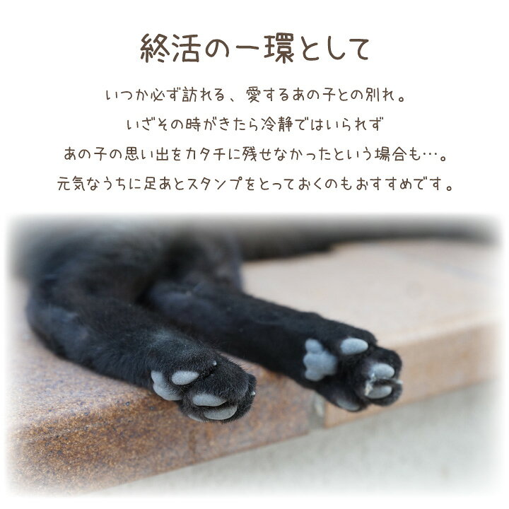 楽天市場 ペット用 足あと スタンプ キット 足型 記念 足跡 汚れない ネコポス対応 足形 取る 肉球 肉球拓 手形 型取り 簡単 安心 手軽 足跡パッド オリジナル プリント 転写 かわいい メモリアルグッズ 犬 猫 動物 ペット供養 ペットの終活 ペット仏壇仏具の 楽天市場 ペット用 足あと スタンプ キット 足型 記念 足跡 汚れない ネコポス対応 足形 取る 肉球 肉球拓 手形 型取り 簡単 安心 手軽 足跡パッド オリジナル プリント 転写 かわいい メモリアルグッズ 犬 猫 動物 ペット供養 ペットの終活 ペット仏壇仏具の