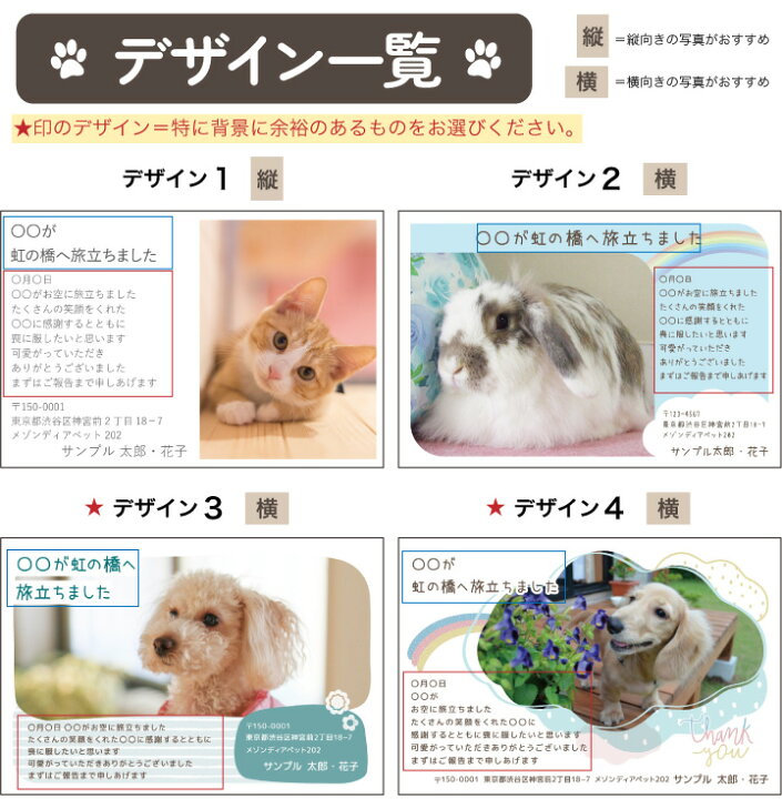 楽天市場】ペット 挨拶状 印刷 名入れ無料 10枚 セット 【ネコポス対応 