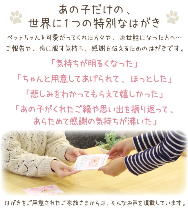 楽天市場 ペット 挨拶状 印刷 名入れ無料 10枚 セット ネコポス対応 ペット用 暑中見舞い 寒中見舞い クリスマスカード 葉書 ハガキ メッセージ お名前 写真入り 犬 猫 うさぎ ハムスター オーダー メモリアル かわいい おしゃれ オリジナル うちの子 虹の橋 楽天市場 ペット 挨拶状 印刷 名入れ無料 10枚 セット ネコポス対応 ペット用 暑中見舞い 寒中見舞い クリスマスカード 葉書 ハガキ メッセージ お名前 写真入り 犬 猫 うさぎ ハムスター オーダー メモリアル かわいい おしゃれ オリジナル うちの子 虹の橋