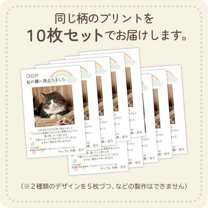 楽天市場】ペット 挨拶状 喪中はがき 自由な 文章 カスタムタイプ 