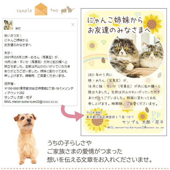 楽天市場】ペット 挨拶状 喪中はがき 自由な 文章 カスタムタイプ 