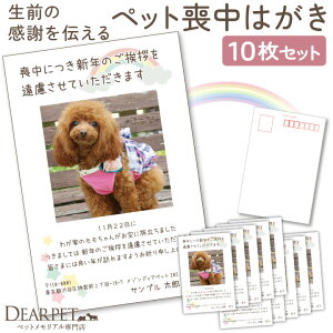 ybg r͂  ꖳ 10 Zbg ylR|XΉz ybgp r t nKL bZ[W 莆 O ʐ^  L  nX^[ I[_[ A 킢 