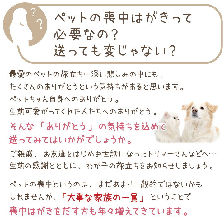 市場 ペット ネコポス対応 メッセージ 喪中はがき ハガキ 写真入り 葉書 名入れ無料 ペット用 10枚 お名前 喪中 印刷 セット 手紙 市場 ペット ネコポス対応 メッセージ 喪中はがき ハガキ 写真入り 葉書 名入れ無料 ペット用 10枚 お名前 喪中 印刷 セット 手紙