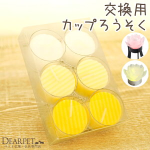 ybg Jbv낤 6 a4cm  Lh E\N p ybg{ AObY  L  nX^[ 蕨 Mtg  낤 [^XOCX 