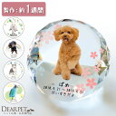 【限定SALE】ペット 位牌 ルチアクリスタル ペット位牌 写真 名前 年月日 メッセージ メモリアルグッズ ペット供養 手…