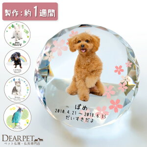 ybg ʔv `ANX^ ybgʔv ʐ^ O N bZ[W AObY ybg{ 茳{ ʔv KX 킢  LL ꂢ tHg l\  