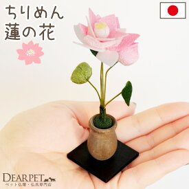 【限定SALE】ペット用 ちりめん 蓮の花 お飾り オブジェ 置物 ミニ 小さい 国産 ペット仏具 犬 猫 うさぎ かわいい モダン おしゃれ お盆供養 お盆飾り お彼岸 四十九日 命日 ハンドメイド メモリアルグッズ 日本製 蓮 57-102