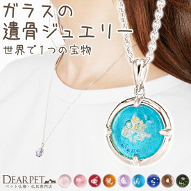 【10%OFF】 ペット 遺骨ペンダント ガラス 円形 サークルペンダント ラウンド ネックレス 遺骨ジュエリー 名入れ ※11/30終売※ NR20003 遺骨封入 オーダーメイド ペット供養 犬 猫 うさぎ 骨 加工 メモリアル アクセサリー うちの子