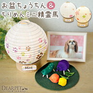 ペット お盆 丸形 まあるい提灯 ライト & ちりめん ミニ 精霊馬 ほおずき 蓮の葉 お盆飾り セット ネーム…