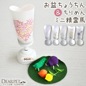ybg ~ v` Pi 1_ LED Cg & ߂ ~j n ق @̗t ~ Zbg l[v[gt ybg{ ~ V~ ~ ybgp 傤 킢  L R[