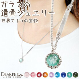 【10%OFF】 ペット 遺骨ペンダント ガラス 円形 サークル ペンダント ネームプレート付き ラウンド ネックレス 遺骨ジュエリー 名入れ ※11/30終売※ NR20009遺骨封入 オーダーメイド ペット供養 犬 猫 うさぎ 骨 加工 メモリアル アクセサリー