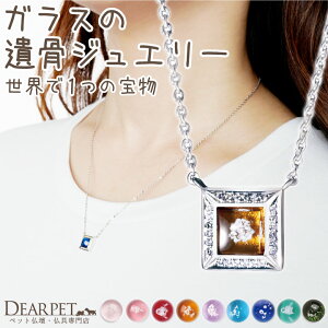 y10%OFFz ybg ⍜y_g KX XNGAy_g _Cht lbNX ⍜WG[  11/30I NS21004⍜ I[_[Ch ybg{  L   