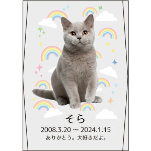 ybg ʔv XNGA NX^ ʃ^Cv ybgʔv J[ ̋ lp c NX^ʔv 킢 ybg{ KX ʔv AObY    e ʐ^ { 