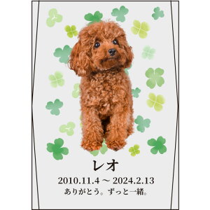 yzybg ʔv XNGA NX^ ʃ^Cv ybgʔv J[ ̋ lp c NX^ʔv 킢 ybg{ KX ʔv AObY    e 