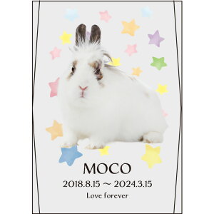 ybg ʔv XNGA NX^ ʃ^Cv ybgʔv J[ ̋ lp c NX^ʔv 킢 ybg{ KX ʔv AObY    e ʐ^ { 