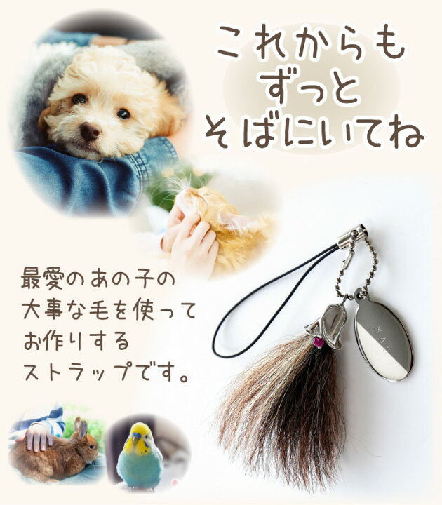 楽天市場】ペットメモリアルグッズ 毛で作る 遺毛 メモリアルチャーム 