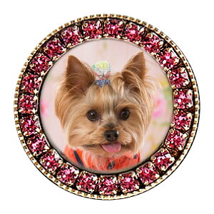 ybg ʐ^ IWi Xgbv A  `[ t 炫 CXg[ ylR|XΉzybg 킢  ~j  ybg{  L ʐ^ A