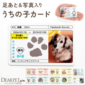 ybg ʐ^  vg ̎qJ[h   I[_[Ch AObY ̋ LOi ylR|Xzybg{  RpNg g  AO