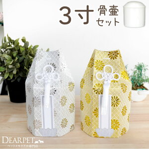 ybg  Zbg كJo[ e 3 a9cm Zp S[h Vo[    Y yz3.0 킢  Jo[  ybgp ybg{  ّ e 