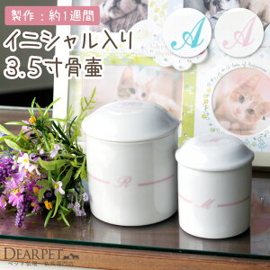 ybg CjV 3.5TCY ^ L     킢 G CXg e I[_[ CjV Ăt ` ps