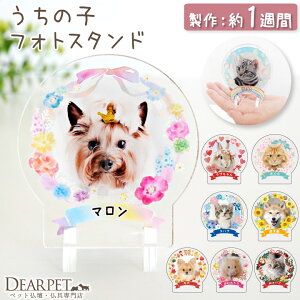 ybg ̎q tHg X^h ~j [W A tHgv[g ʐ^ ybg e  AN X^h ylR|Xz  ybg AObY 킢 