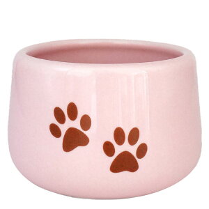 ybg  킢 ̋  F  Pi  zCg sN u[ CG[ ybg  L  A  Y ybg{    