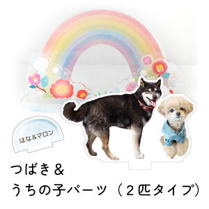 y󒍐Yzybg   ̋ X^h ʐ^ ̎qv[g p[c Zbg l[v[g AN G ylR|XΉz D  ʐ^ tHg v[g  