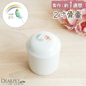 ybg ̋  2  ʐ^ ybg nX^[  CR  ^ ঒ ⍜     킢 CXg e I[_[ Ăt ybg{ ybg