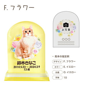 ybg ʔv DP-1 OCu NX^ ʃ^Cv NX^ʔv ybgʔv J[ ̋ c jg 킢 ybg{ KX ʔv AObY    e ʐ^