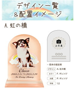 ybg ʔv DP-1 OCu NX^ ʃ^Cv NX^ʔv ybgʔv J[ ̋ c jg 킢 ybg{ KX ʔv AObY    e ʐ^