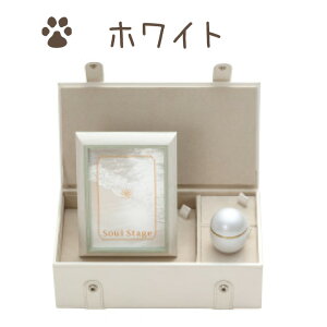 y|Cg5{zybg ~j   ʐ^ {bNX Zbg Z i  ~j ⍜   [ [ F̏ 킢  RpNg  ybg{ ی^ 