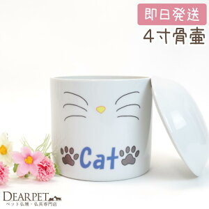 ybg Lp CAT  4TCYia12cmjybgp ˂ L    ybgΑ ybg ybgAObY  P[X