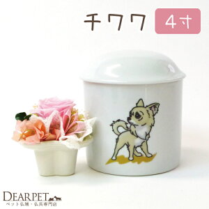 ` 4ia12cmjCXgyybgفzyybgzyفzyybgpفzy~jفzy ~jzyybgzyAzyz P[X