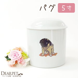 pO 5ia15cmjCXgyybgفzyybgzyفzyybgpفzy~jفzy ~jzyybgzyAzyz P[X