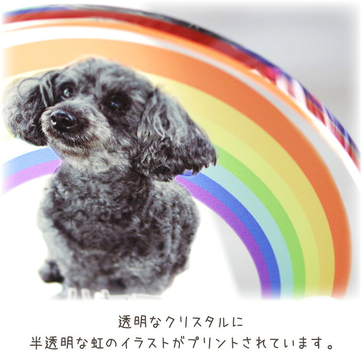 楽天市場 ペット 位牌 レインボー クリスタル ペット位牌 虹の橋 カラー かわいい おしゃれ ペット供養 ガラス お位牌 記念碑 名入れ 遺影 写真入り 供養 犬 猫 うさぎ 動物 メモリアルグッズ ペットロス ペット仏壇仏具のディアペット 楽天市場 ペット 位牌 レインボー クリスタル ペット位牌 虹の橋 カラー かわいい おしゃれ ペット供養 ガラス お位牌 記念碑 名入れ 遺影 写真入り 供養 犬 猫 うさぎ 動物 メモリアルグッズ ペットロス ペット仏壇仏具のディアペット
