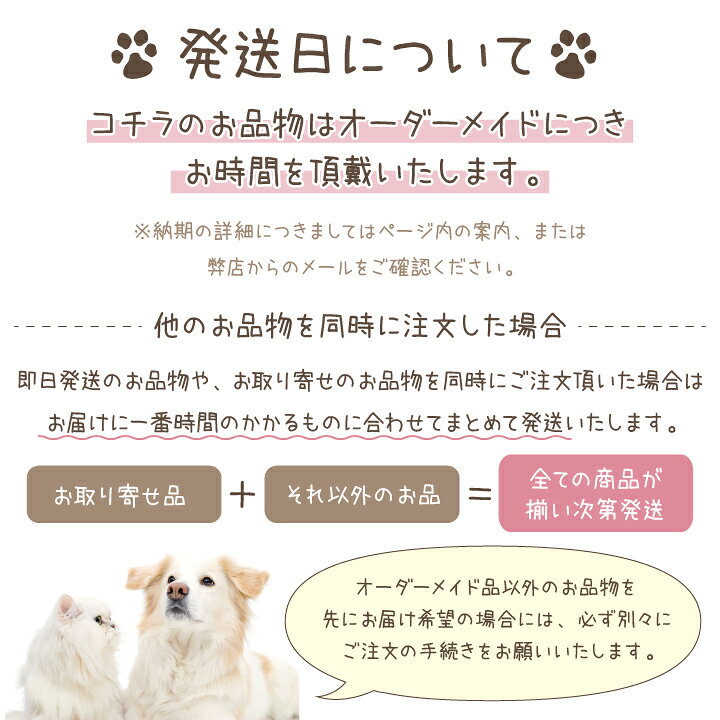 楽天市場】ペット 挨拶状 印刷 名入れ無料 10枚 セット 【ネコポス対応  