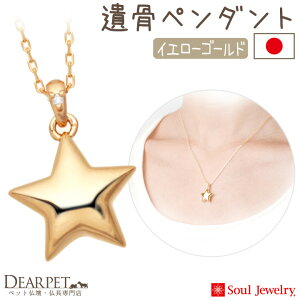 �y�|�C���g5�{�z�y�b�g �⍜�y���_���g �X�^�[ �C�G���[�S�[���h K10 ���Y �\�E���W���G���[ Soul Jewerly �⍜�J�v�Z�� �⍜�l�b�N���X �y�b�g���{ �⍜�W���G���[ �A�N�Z�T���[ �l�b�N���X ��