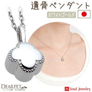 y|Cg5{zybg ⍜y_g v`t[ zCgS[h K10 _Ch Y ybg{ ⍜WG[ ANZT[ lbNX 킢 ybgX ybgA 