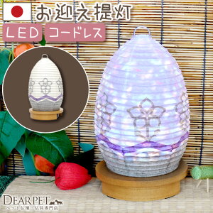 ybg~ ق ~  傤 LED R[hX ybĝ~ ~{ 炫 ybg ~ V~ ~ { ybg  ybg{  L  AObY