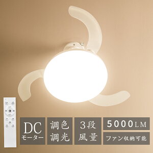 _T^ 2025NvIȃfUC^V[Ot@Cg 5000LM 6~10Ή V[Ot@Cg Rt V V[OCg t@ LEDV[OCg HB H[^C