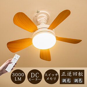\モップ特典/1台2役省エネ LED シーリングファンライト 3000lm 扇風機 28W E26 天井ライト 照明器具 正逆回転 無階段調光調色 3階段風量 DCモーター タイマー 空気循環 引っ掛け ダクトレール 静