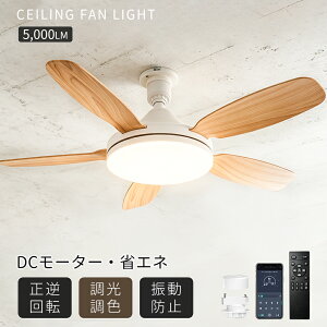 �_����1500�~off�^ 5000lm �V�[�����O�t�@�����C�g LED �ȃG�l�E�ߓd �V�[�����O�t�@�� E26 ��@ 44W �V�䃉�C�g �Ɩ���� �ȃG�l ���t��] ���K�i���� 3�K�i���� DC���[�^�[ �^�C�}�[�@�\ 5���H��